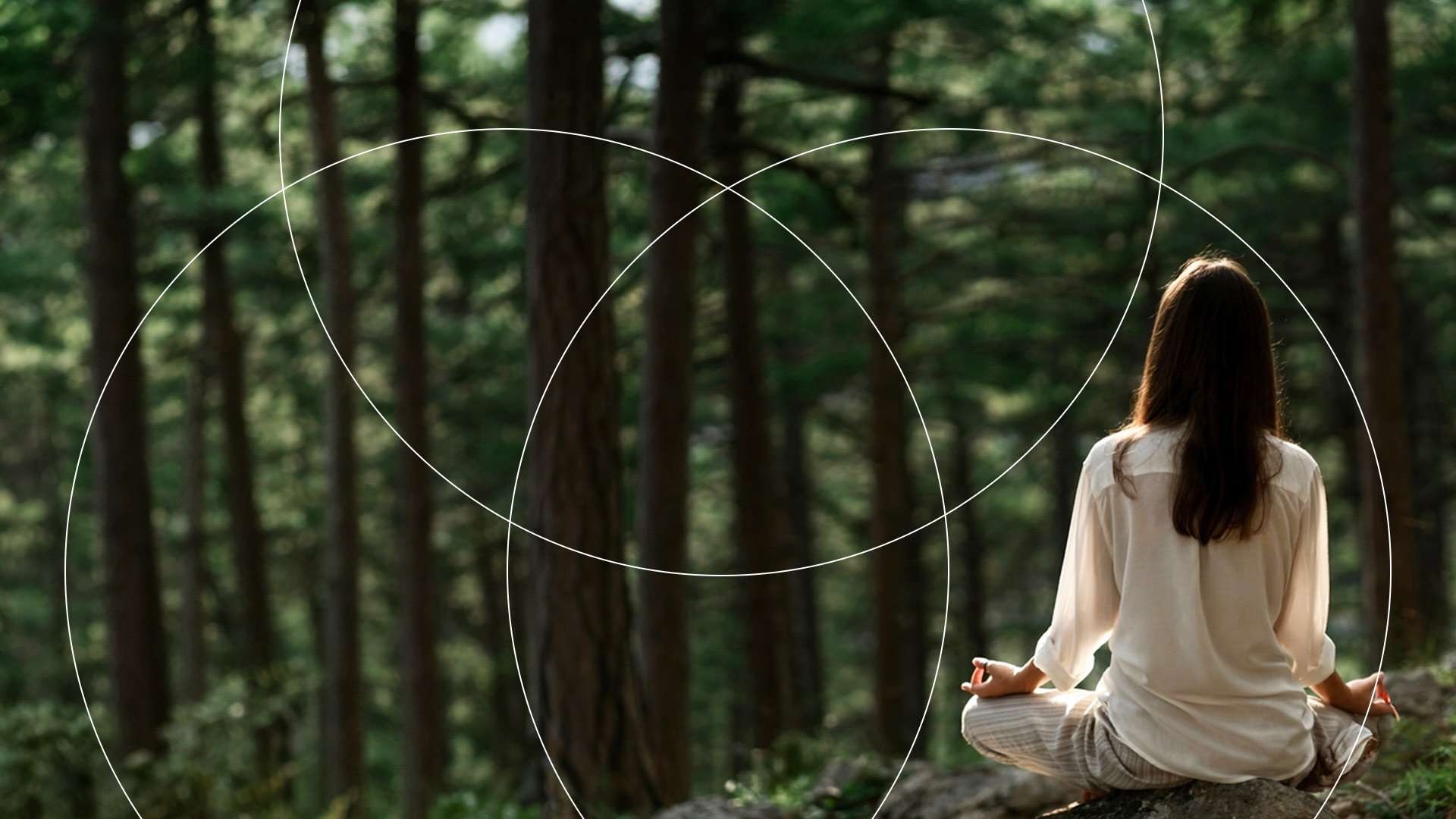 Capria — forest wellness living